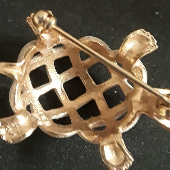 Pokey Turtles - Picture 3 of 5